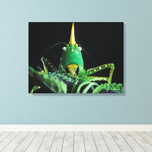 Kone-Headed sprinkhaan Canvas Afdruk (Insitu (Houten vloer))