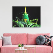 Kone-Headed sprinkhaan Canvas Afdruk (Insitu (Woonkamer))