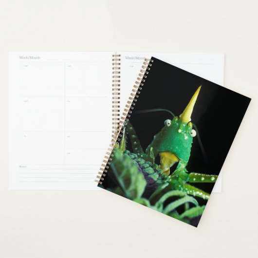 Kone-Headed sprinkhaan Planner (Display)