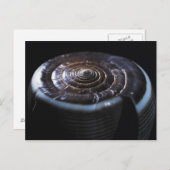 Kone schelp briefkaart (Voorkant / Achterkant)