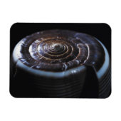 Kone schelp magneet (Horizontaal)