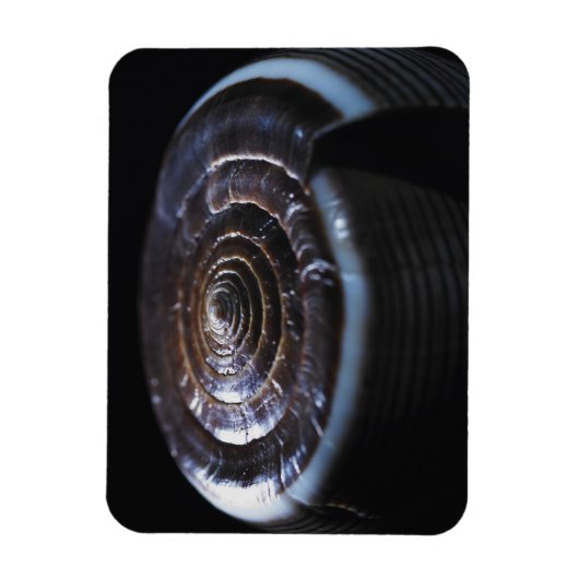 Kone schelp magneet (Verticaal)