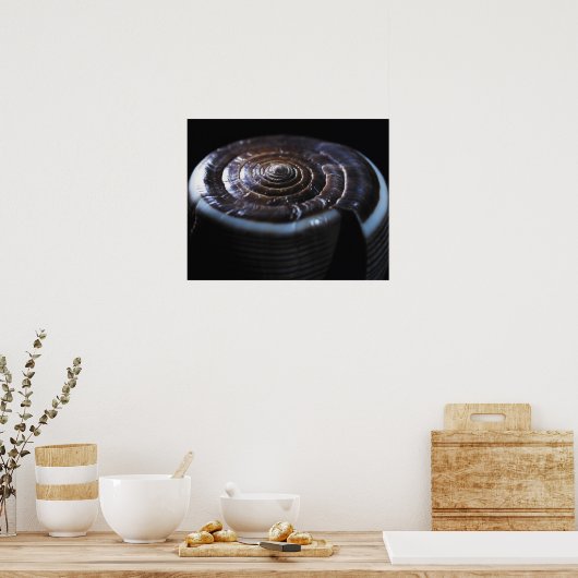 Kone schelp poster (Keuken)