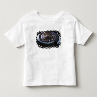 Kone shell kinder shirts