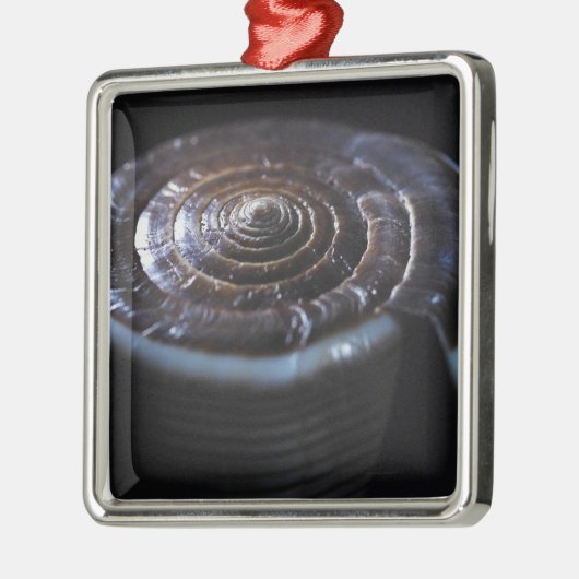 Kone shell metalen ornament (Links)