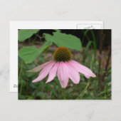 Kone ventilator briefkaart (Voorkant / Achterkant)