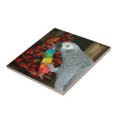 Kongo Afrikaanse grijze papegaai kerstboom Tegeltje (Zijkant)