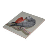 Kongo-Afrikaanse grijze papegaai Tegeltje (Zijkant)