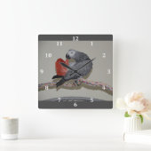 Kongo-Afrikaanse grijze papegaai Vierkante Klok (Huis)