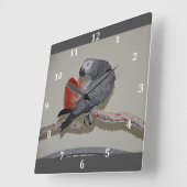 Kongo-Afrikaanse grijze papegaai Vierkante Klok (Hoek)