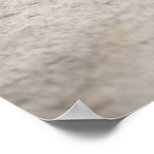 Konica Autorex P Poster (Hoek)