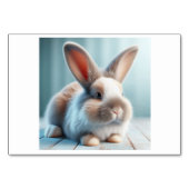 Konijn (兎 / うさぎ) - Japanse Flash Kaarten (Voorkant)