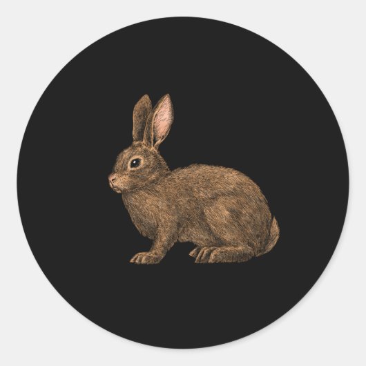 Konijn 2 ronde sticker (Voorkant)