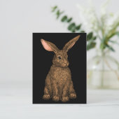 konijn 3 briefkaart (Staand voorkant)