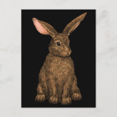 konijn 3 briefkaart (Voorkant)
