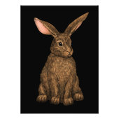 konijn 3 foto afdruk (Voorkant)