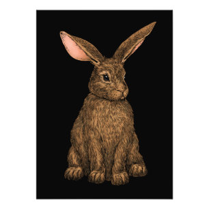 konijn 3 foto afdruk