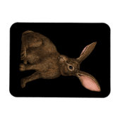 Konijn 4 magneet (Horizontaal)