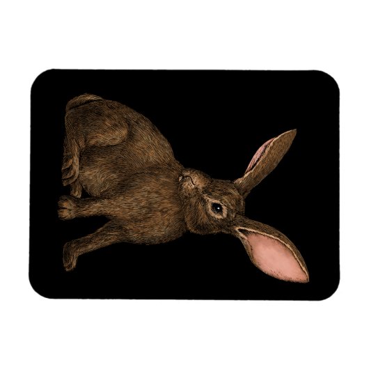 Konijn 4 magneet (Horizontaal)