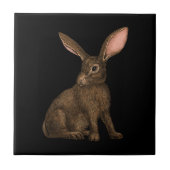 Konijn 4 tegeltje (Voorkant)