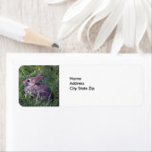 Konijn 8603 etiket (Insitu)