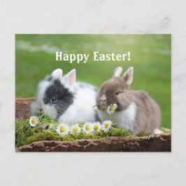 Konijn 8 Pasen Briefkaart