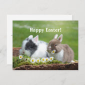 Konijn 8 Pasen Briefkaart (Voorkant / Achterkant)