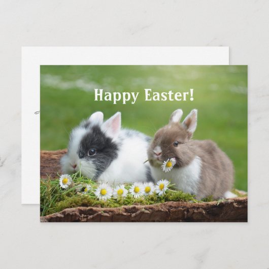 Konijn 8 Pasen Briefkaart (Voorkant / Achterkant)