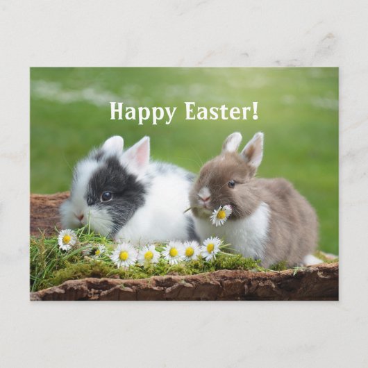 Konijn 8 Pasen Briefkaart (Voorkant)