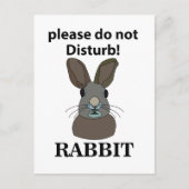 Konijn alsjeblieft niet storen grappig konijn briefkaart (Voorkant)