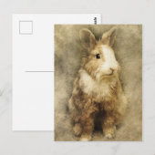 konijn briefkaart (Voorkant / Achterkant)