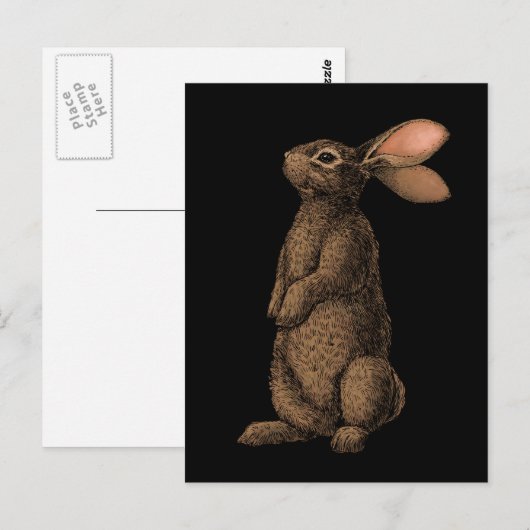 konijn briefkaart (Voorkant / Achterkant)