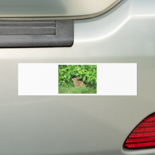 konijn bumpersticker (Op auto)