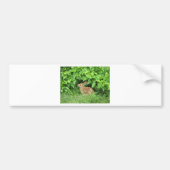 konijn bumpersticker (Voorkant)