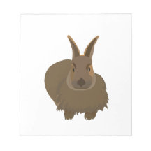 Konijn Bunny