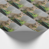 konijn cadeaupapier (Hoek)