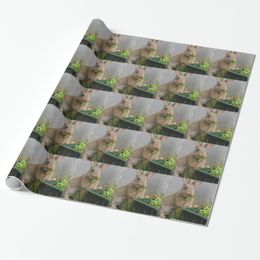 konijn cadeaupapier (Uitgerold)