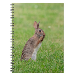 Konijn die in het gras staat en er verlegen uitzie notitieboek