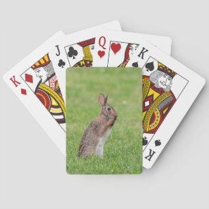 Konijn die in het gras staat en er verlegen uitzie pokerkaarten
