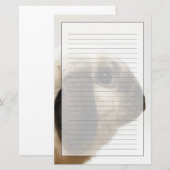 Konijn die konijn bekijkt briefpapier (Voorkant / Achterkant)