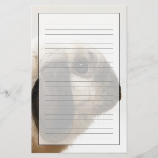 Konijn die konijn bekijkt briefpapier (Voorkant)