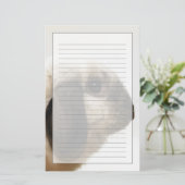 Konijn die konijn bekijkt briefpapier (Staand voorkant)