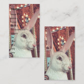 Konijn draaimolen visitekaartje (Voorkant / Achterkant)