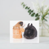 konijn en cavia briefkaart (Staand voorkant)