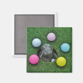 Konijn en gekleurde Golfballen Magneet (Voorkant / Achterkant)