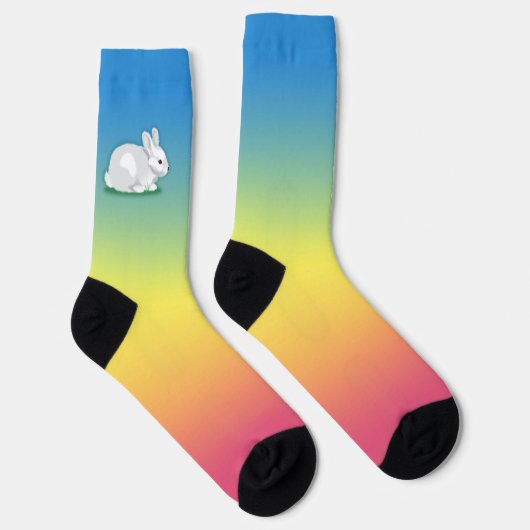 Konijn en regenboog sokken (Rechts)