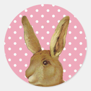 Konijn- en Roze pokadot Ronde Sticker