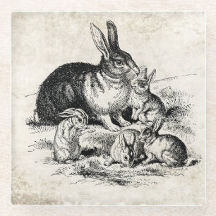 Konijn Familie Illustratie, Baby Bunnies Glazen Onderzetter