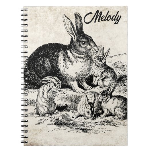  Konijn Familie Illustratie, Baby Bunnies Notitieboek (Voorkant)