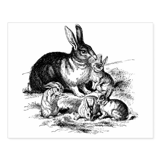  Konijn Familie Illustratie, Baby Bunnies Rubberstempel (Afrduk)